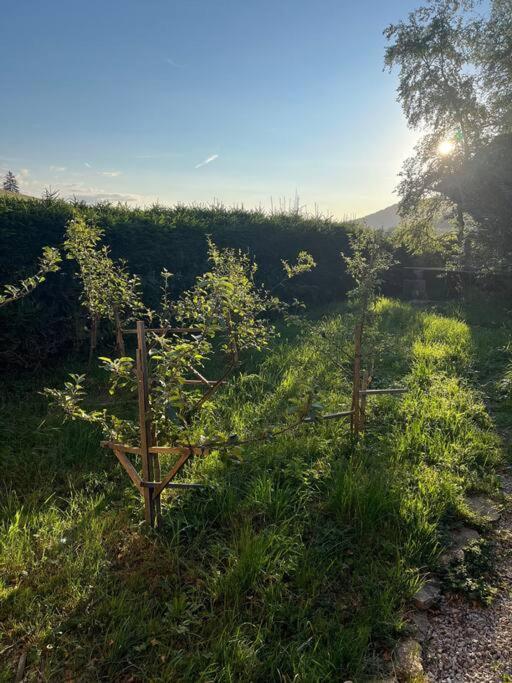 Nuit Insolite - La Cabane Du Haut-Doubs Les Gras Exterior photo