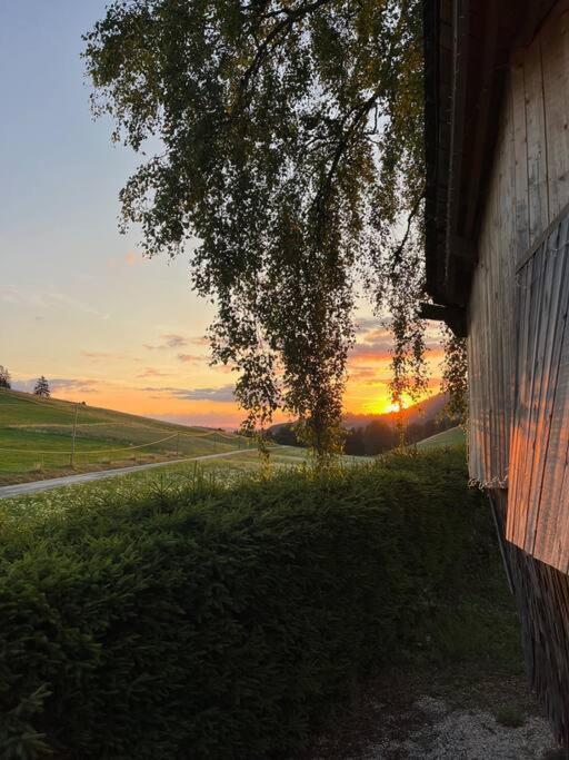 Nuit Insolite - La Cabane Du Haut-Doubs Les Gras Exterior photo