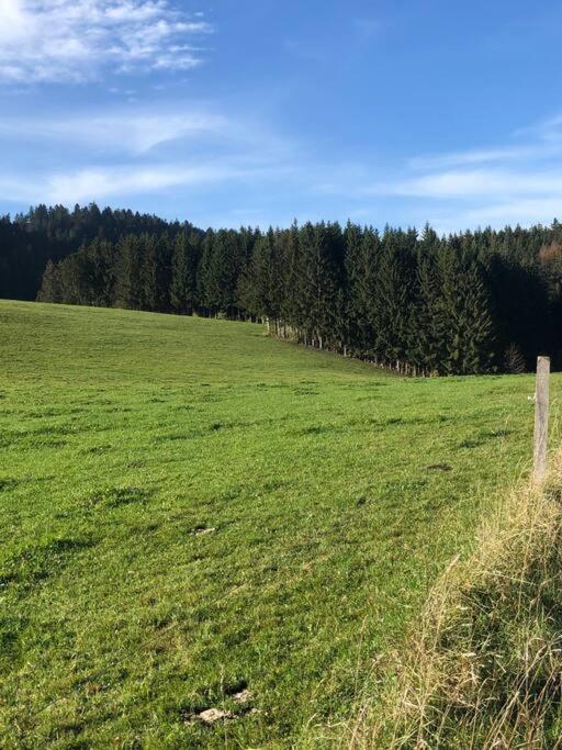Nuit Insolite - La Cabane Du Haut-Doubs Les Gras Exterior photo