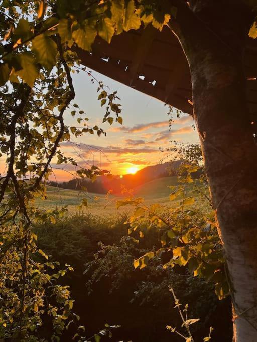Nuit Insolite - La Cabane Du Haut-Doubs Les Gras Exterior photo