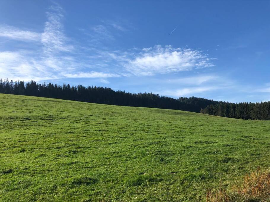 Nuit Insolite - La Cabane Du Haut-Doubs Les Gras Exterior photo